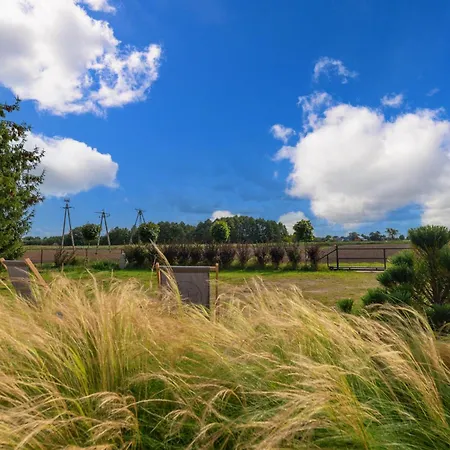 Mierzejogrod - Caloroczne Z Kominkami