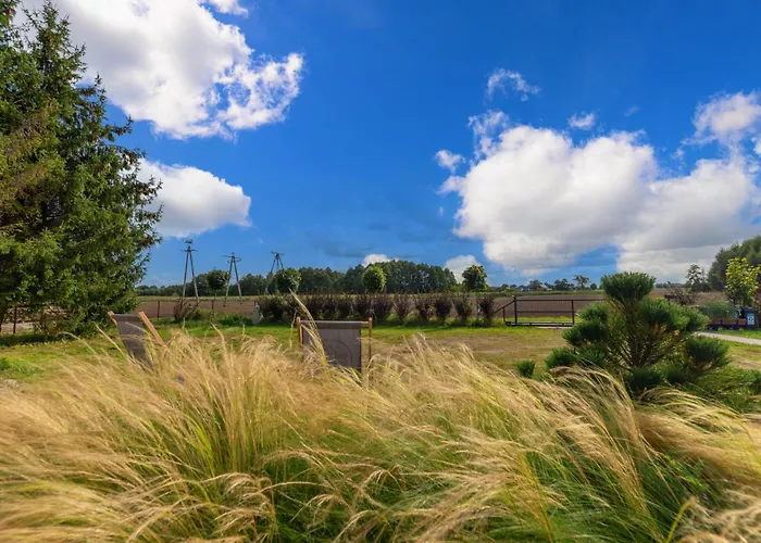 Mierzejogrod - Caloroczne Z Kominkami